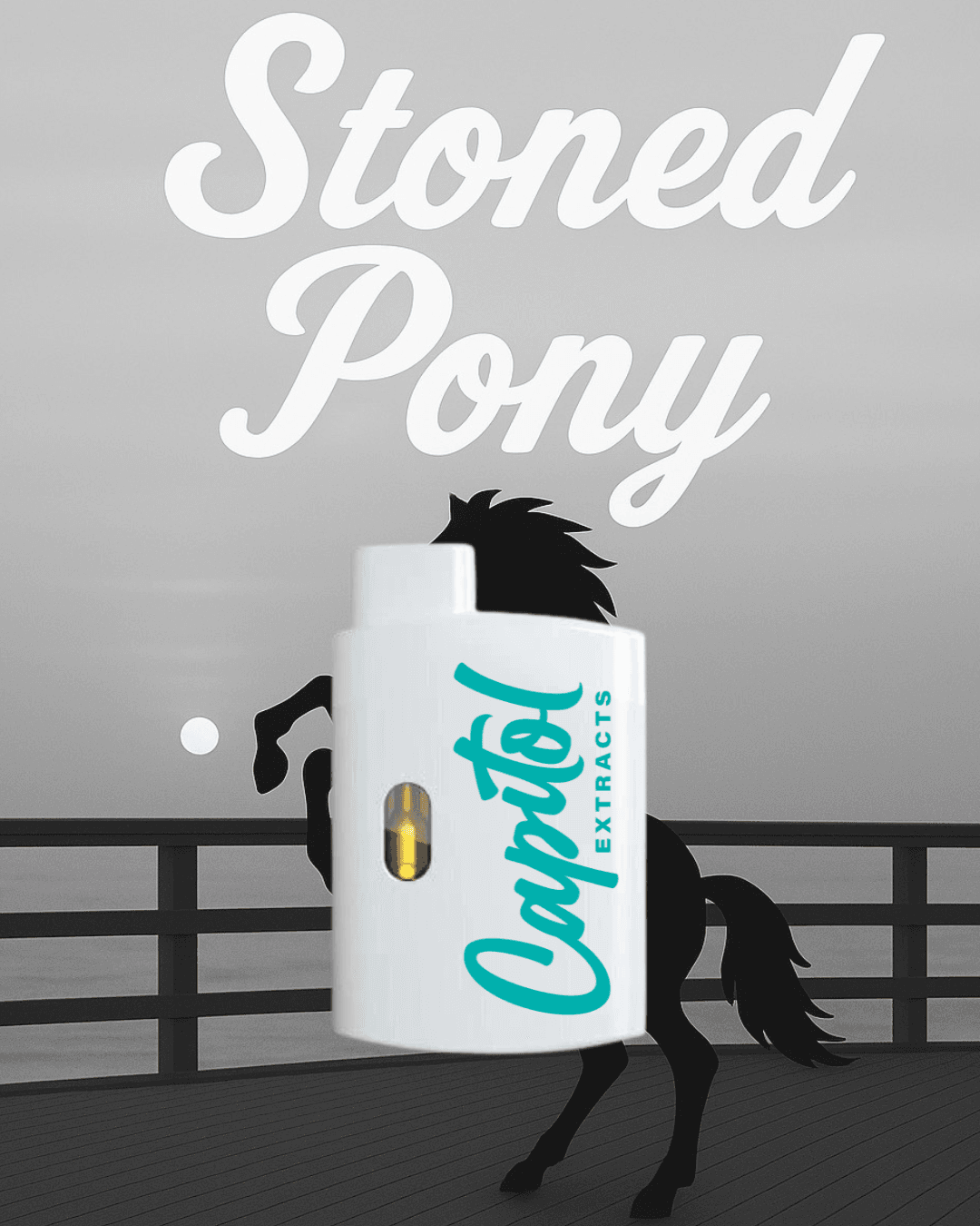 Stoned Pony 1g AIO