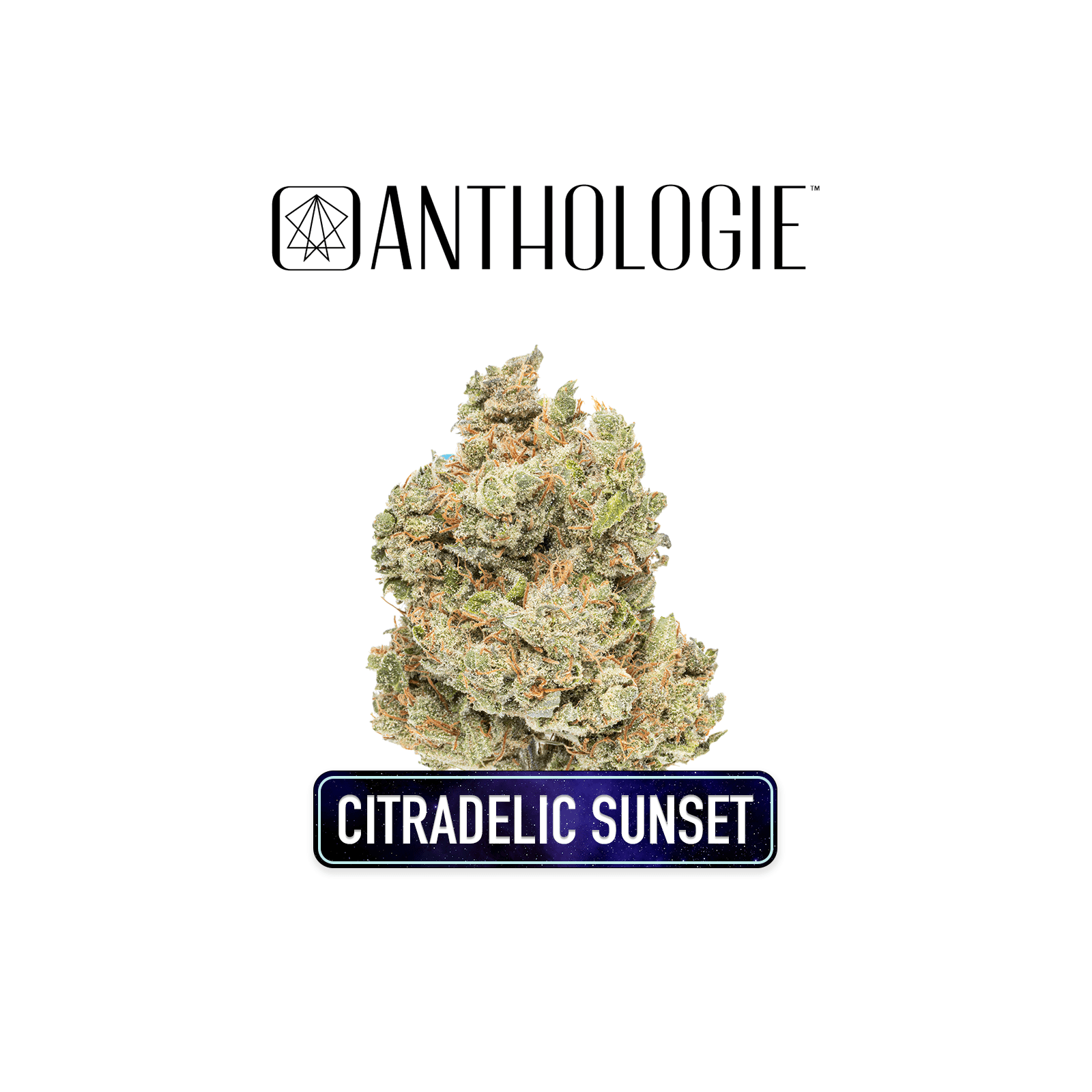 Citradelic Sunset 3.5g