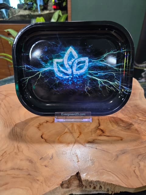 Electric Rolling Tray
