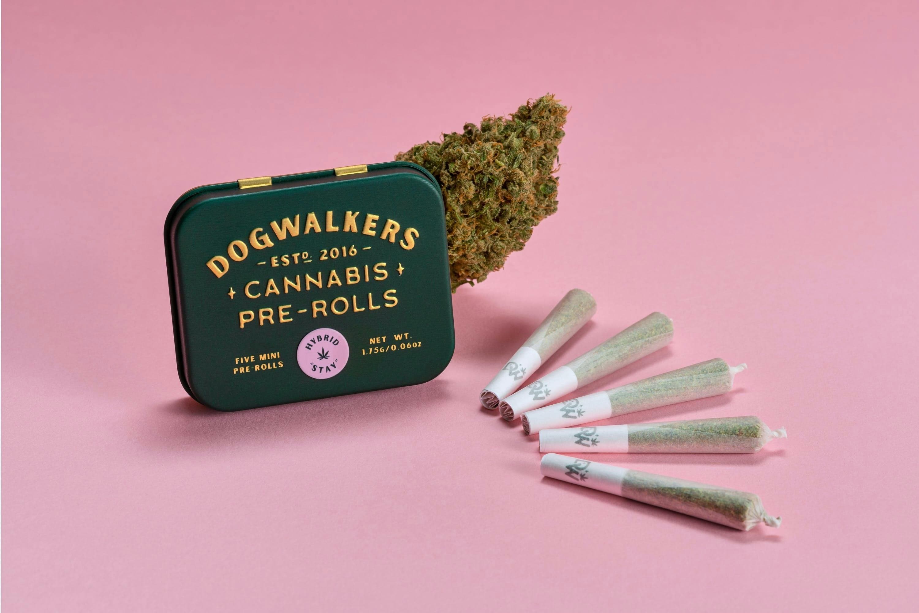 Swamp Water Fumez (Stay) 5pk/1.75g Prerolls