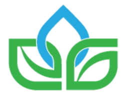 Evergreen Nature's Remedy Logo