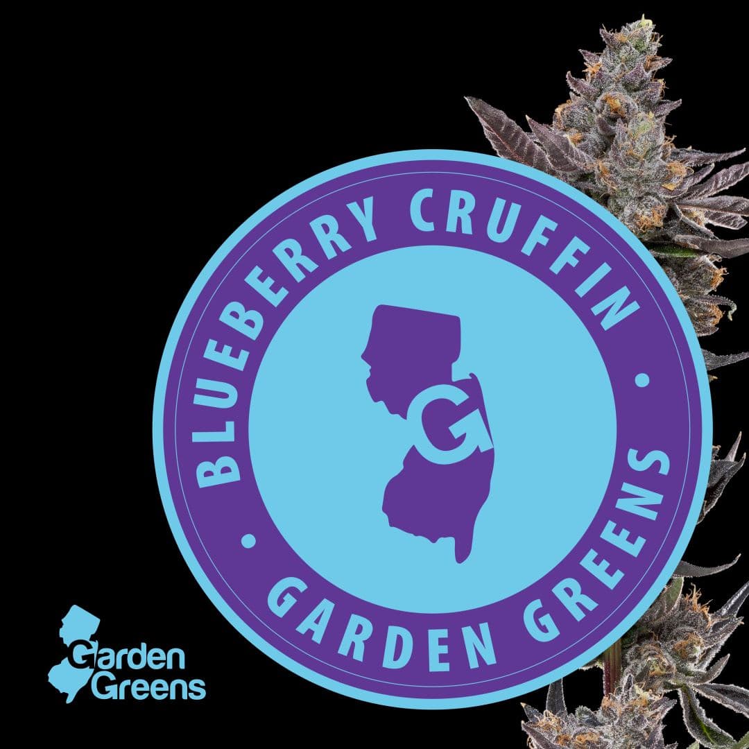 Blueberry Cruffin 3.5g