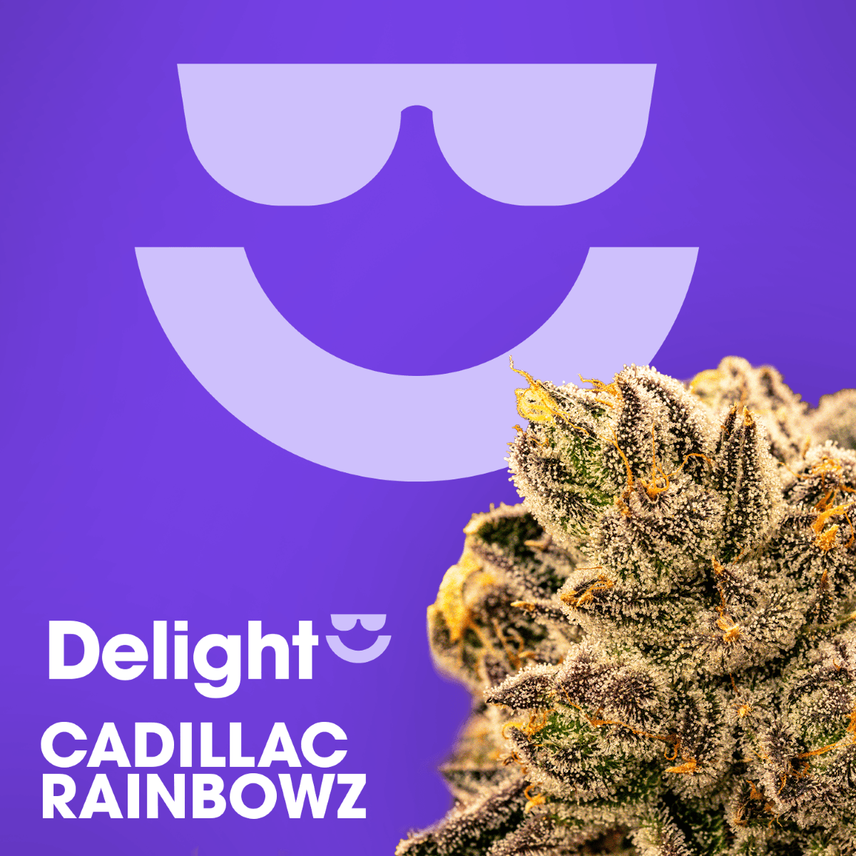 Cadillac Rainbowz 1g Preroll