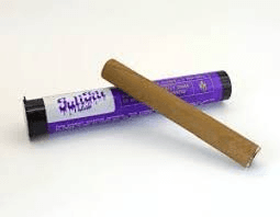 Blueberry Cherry 1g Blunt