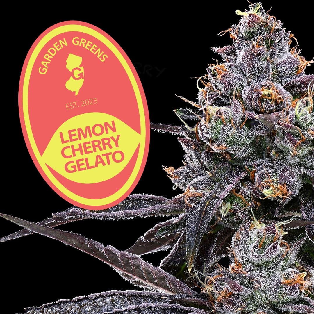 Lemon Cherry Gelato 7g