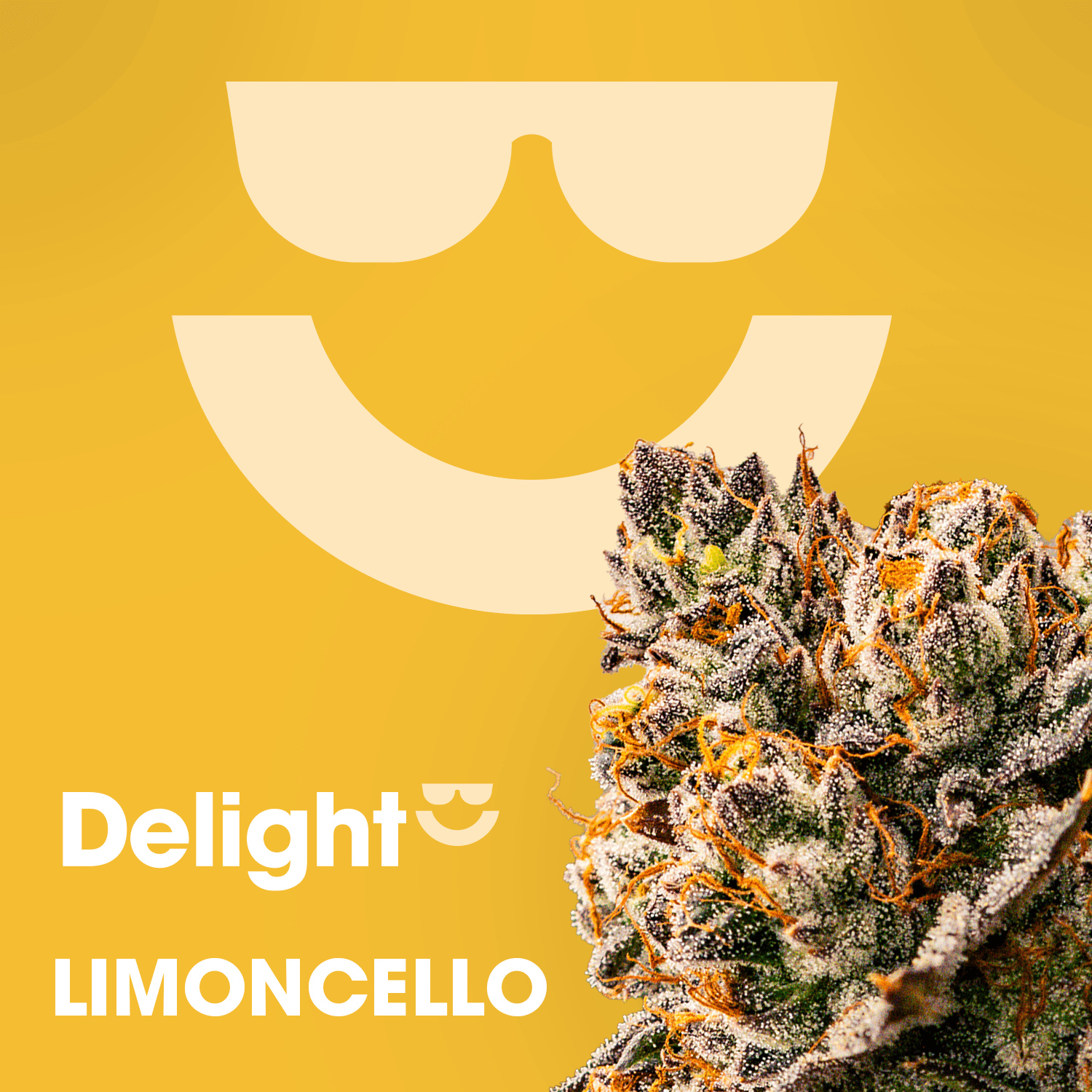 Limoncello 1g Preroll