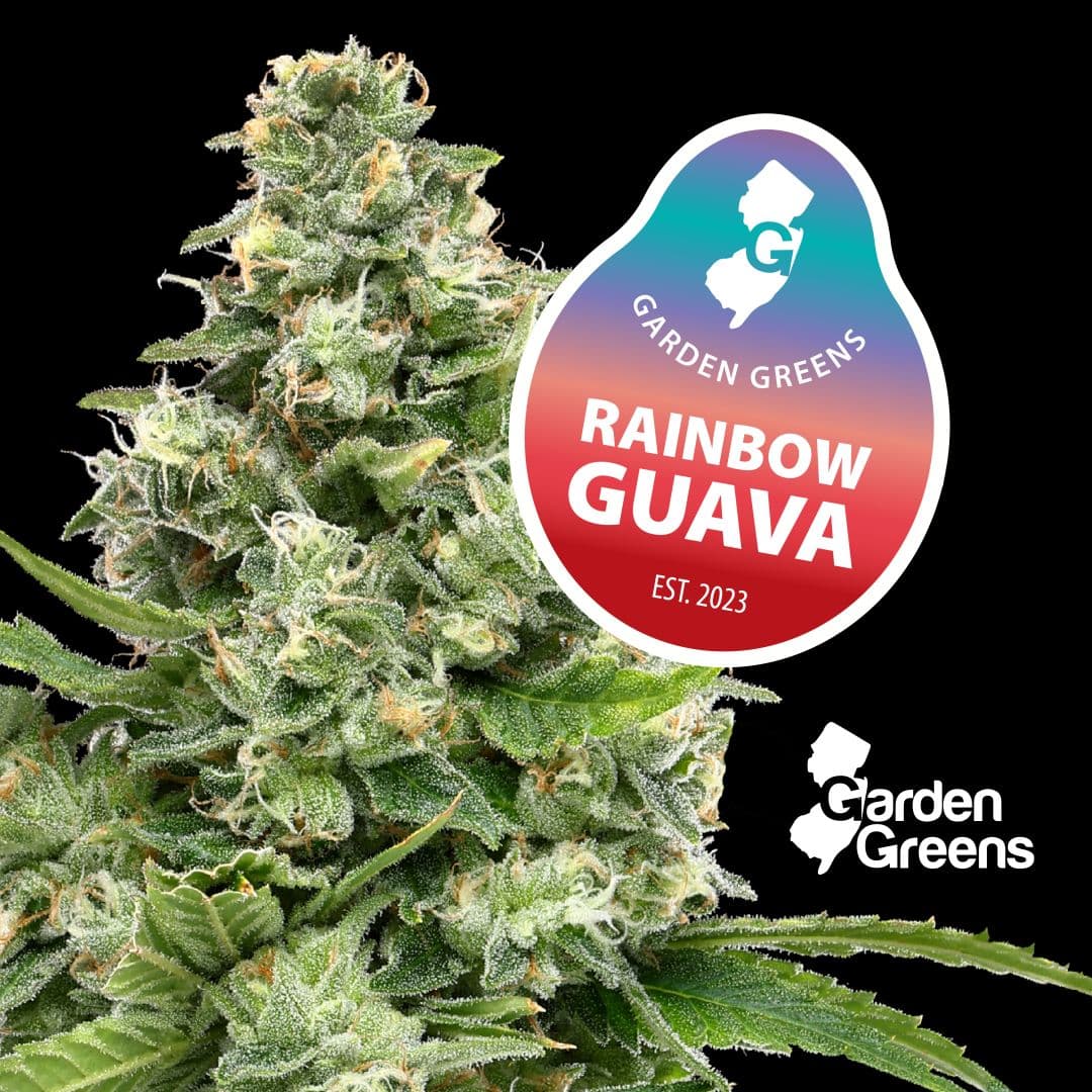 Rainbow Guava 5pk/2.5g Prerolls
