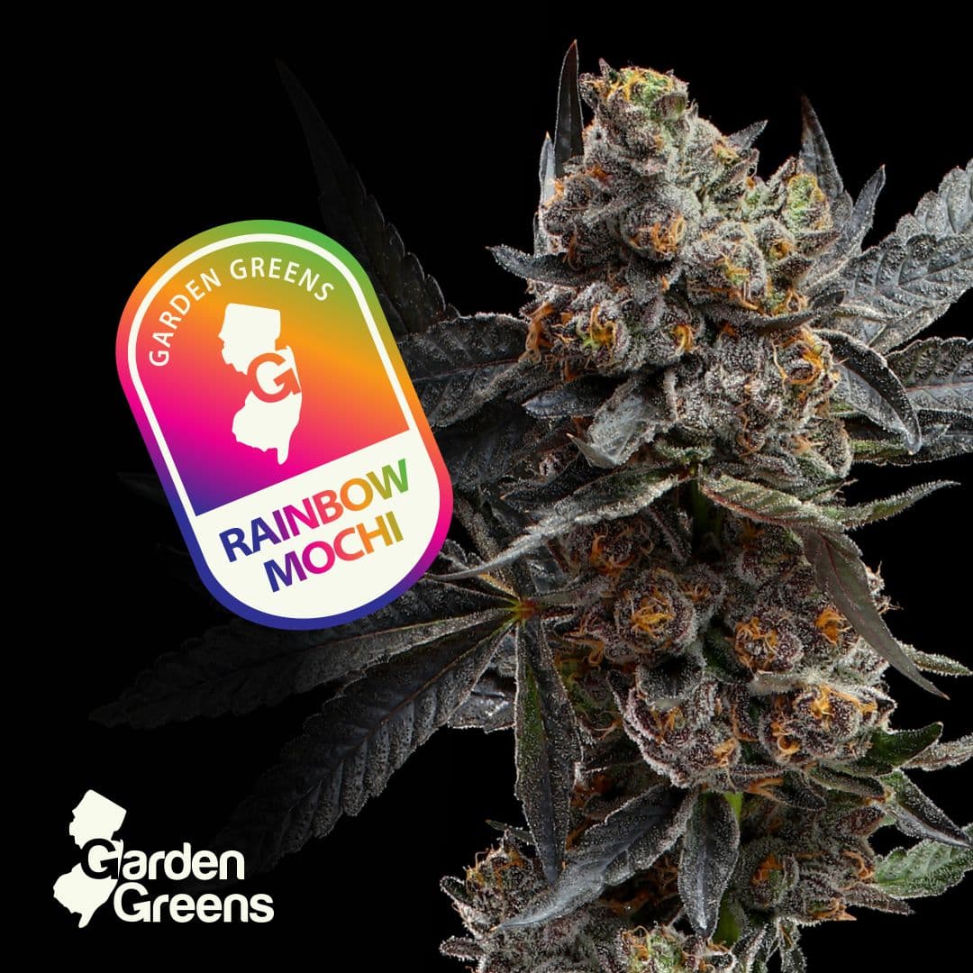 Rainbow Mochi 5pk/2.5g