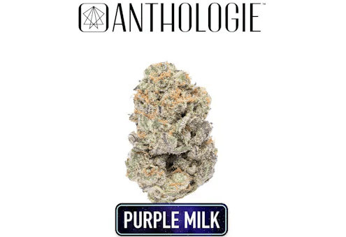 Purple Milk 3.5g