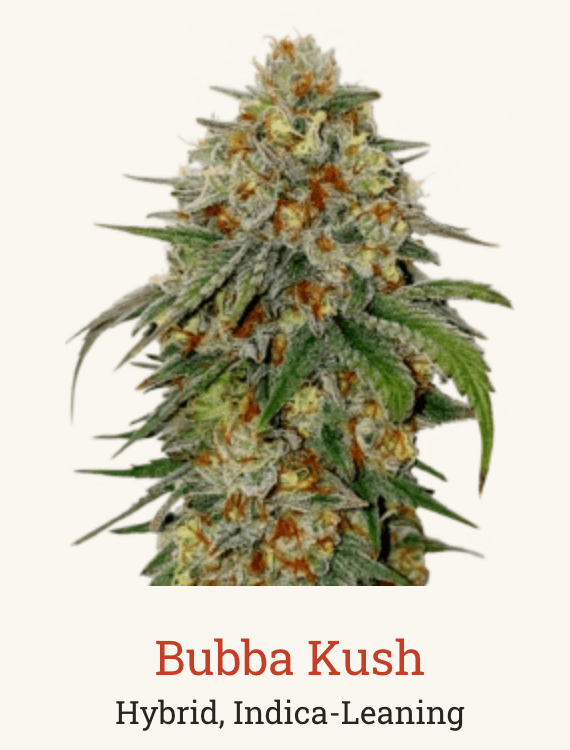 Bubba Kush 3.5g