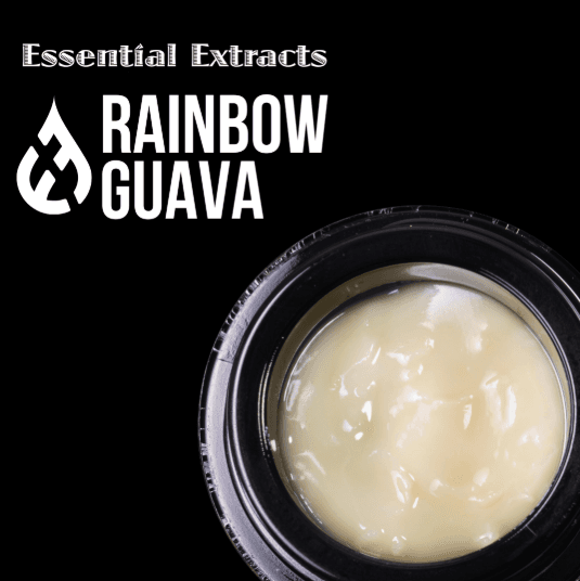 Rainbow Guava 0.5g Cold Cure Rosin
