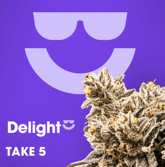 Take 5 3.5g