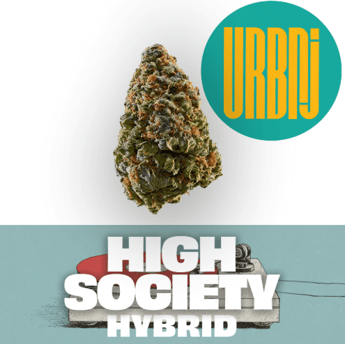 High Society 2g