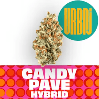 Candy Pave 14g