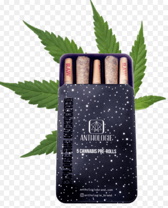Glitter Bomb 5pk/2.5g Prerolls