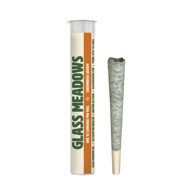 Jersey Boof 1g Preroll
