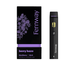 Berry Haze 1g Traveler