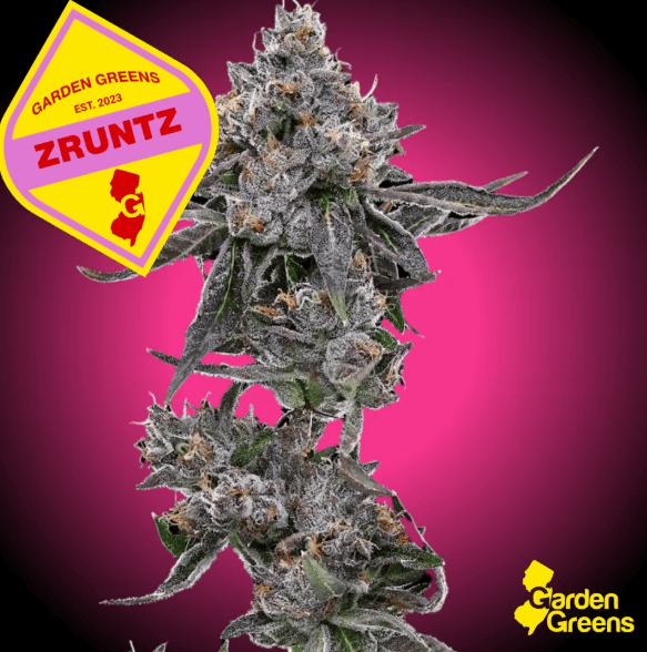 Zruntz 7g