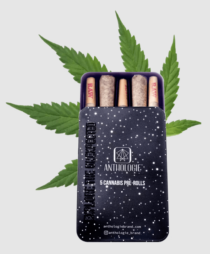 Mac n Jack 5pk/2.5g Prerolls