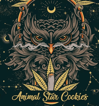 Animal Star Cookies 2pk/1g Smokos