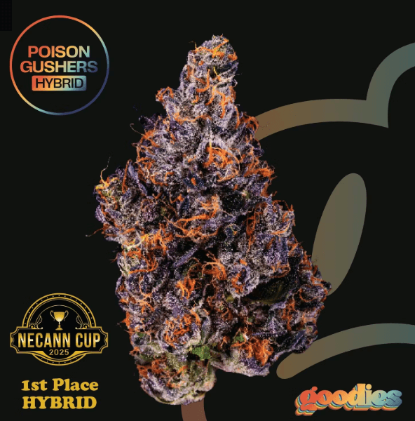 Poison Gushers 7g