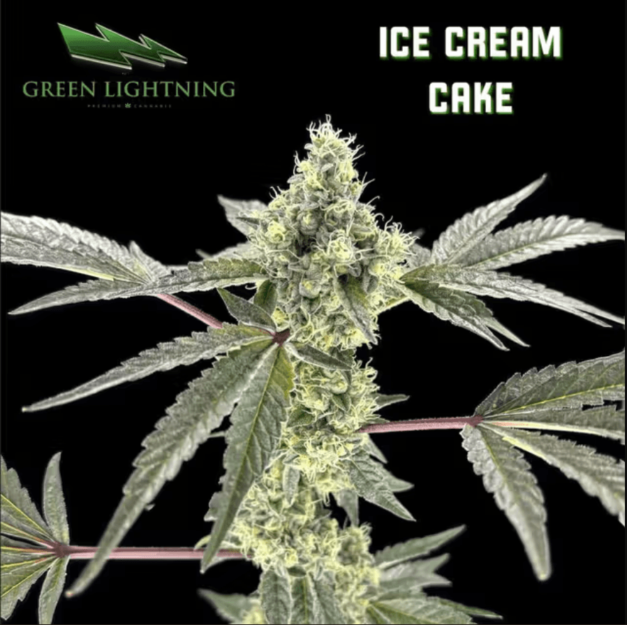 Ice Cream Cake 3.5g