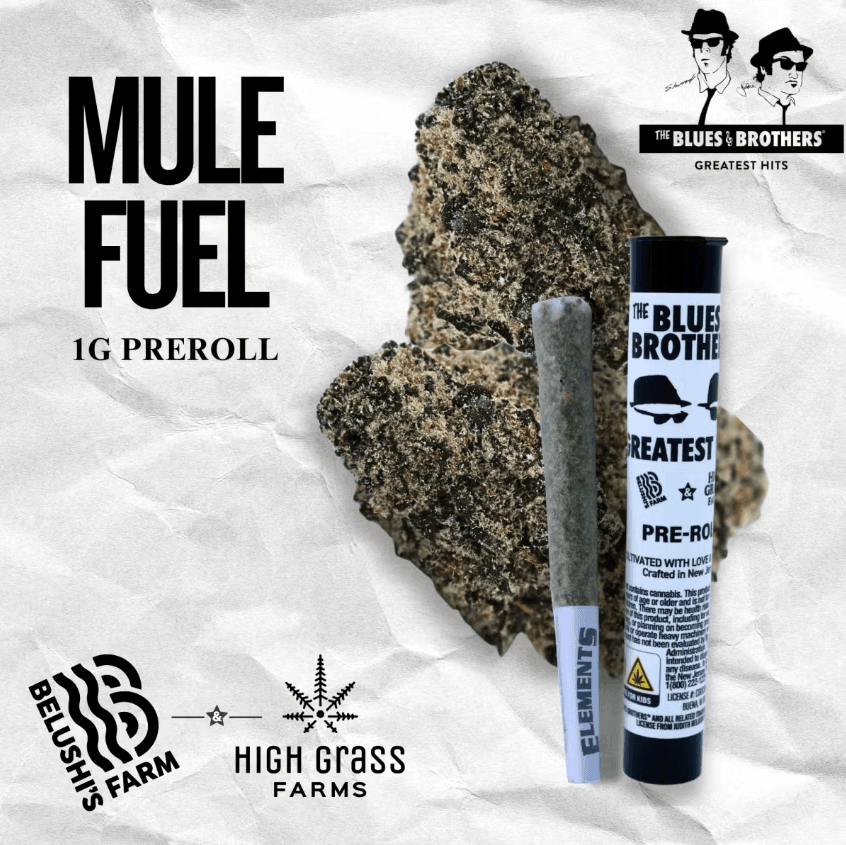 Mule Fuel 1g Preroll