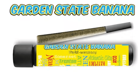 Blue Sherbert 1g Preroll