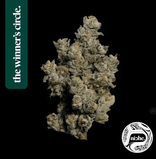 Pie Scream 3.5g