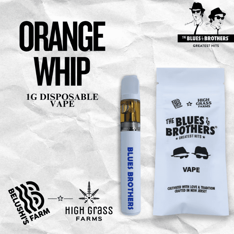 Orange Whip 1g AIO
