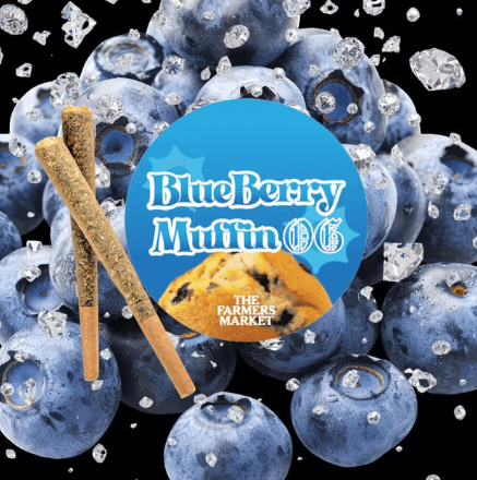 Blueberry Muffin Diamond Infused 2pk/1.5g Prerolls