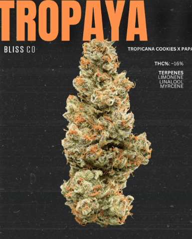 Tropaya .7g/7pk Prerolls