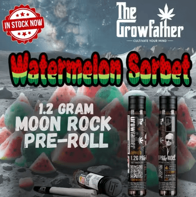 Frozen Watermelon Sorbet 1.2g Moonrock Infused Preroll