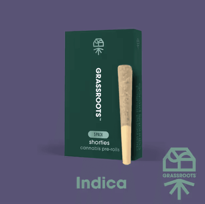 Garlic Cookies 5pk/2g Prerolls