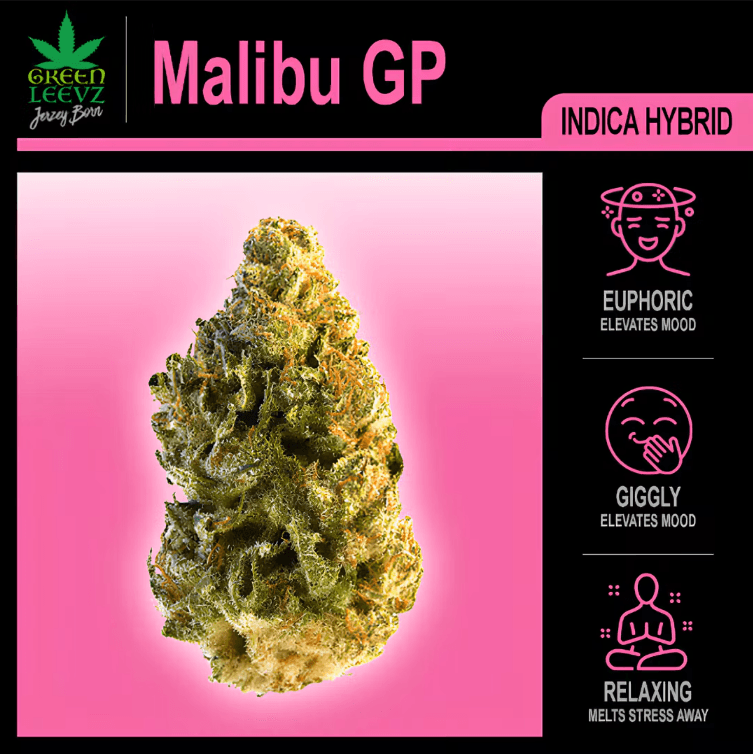 Malibu GP 2pk/0.7g Lake Walkers