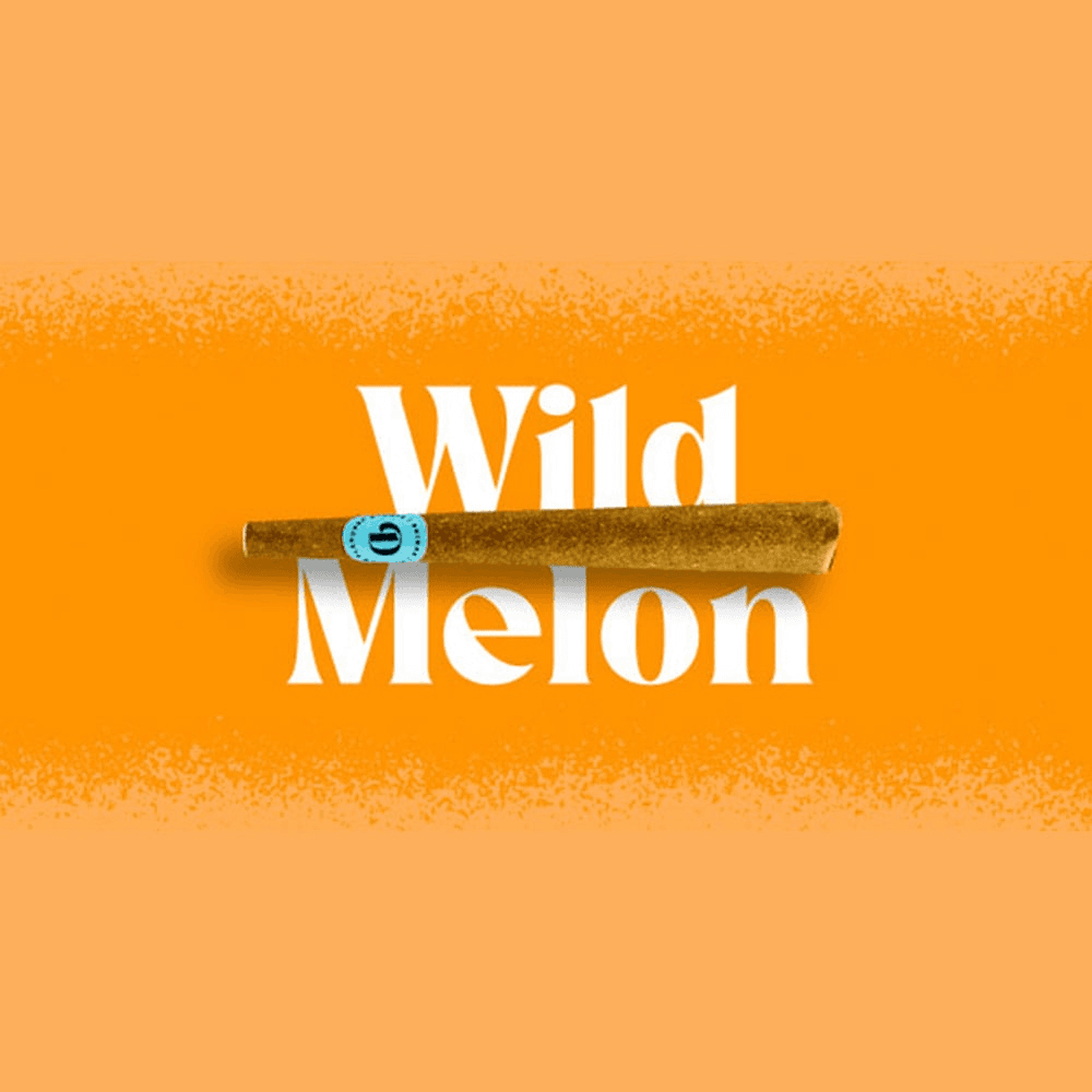 Wild Melon 1g Infused Blunt