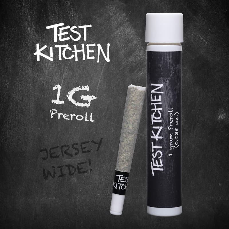 Zikigai 1g Preroll