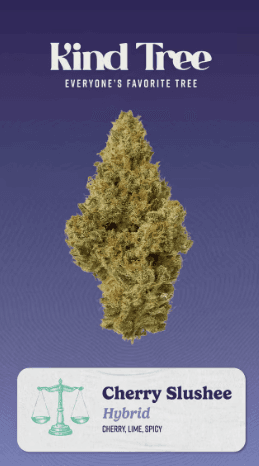 Cherry Slushee 3.5g